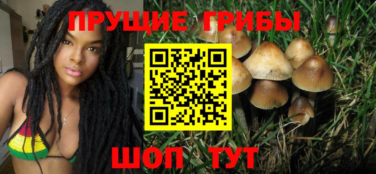 Лабинск  купить   Вход с VPN  Псилоцибиновые грибы прущие грибы 