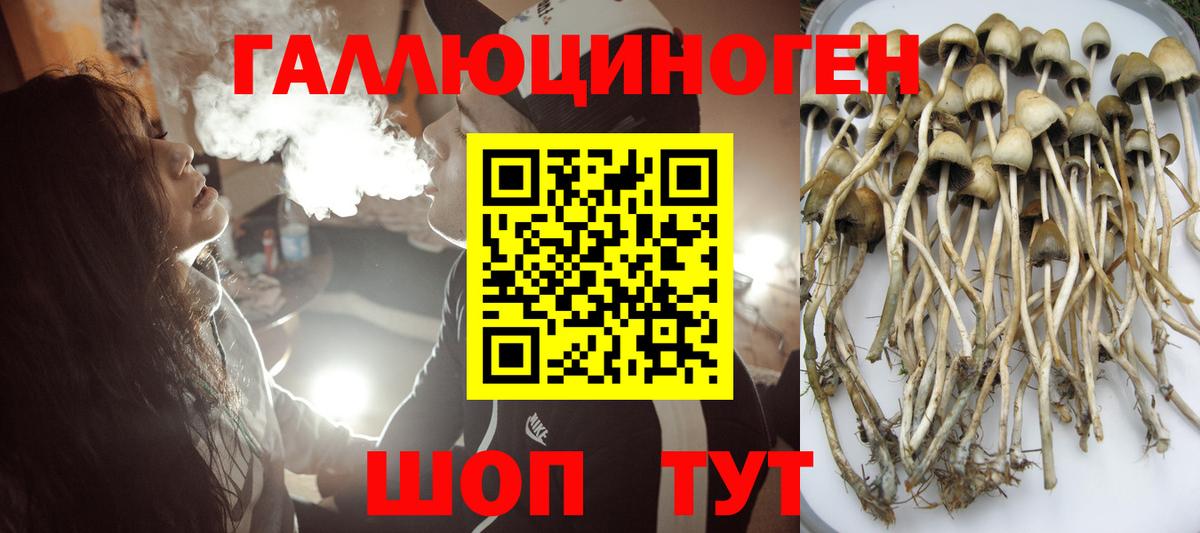 Псилоцибиновые грибы GOLDEN TEACHER Лабинск